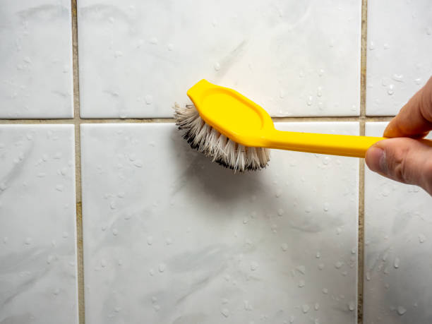 Best Localized Mold Remediation (e.g., coastal areas, humid climates) in Knoxvle, IL