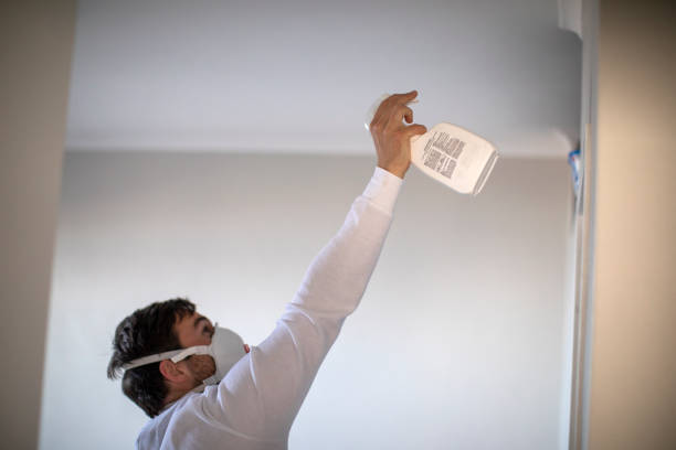 Best Emergency Mold Remediation in Knoxvle, IL