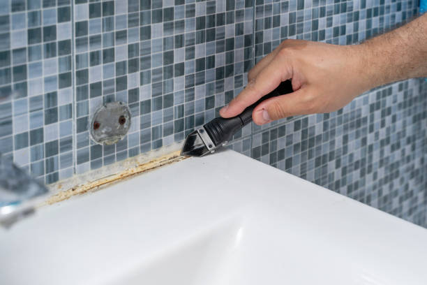 Best Health and Safety Mold Remediation in Knoxvle, IL