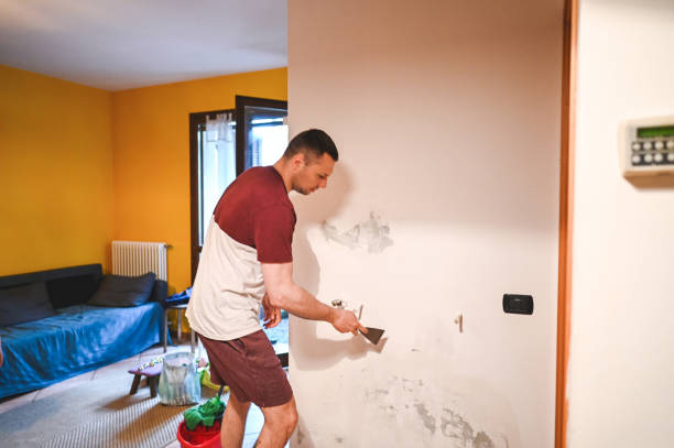 Best Bathroom Mold Remediation in Knoxvle, IL